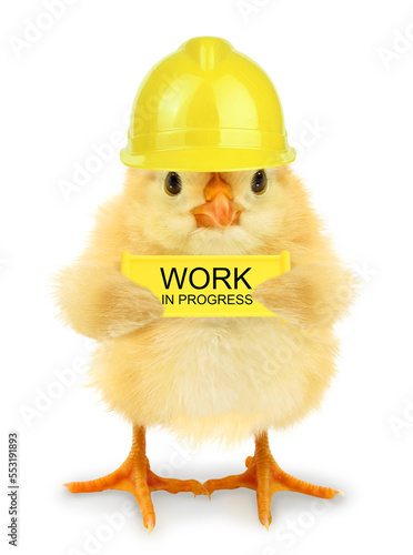 Cute chick worker with yellow Work in progress sign billboard panel outdoor under construction board isolated on white background