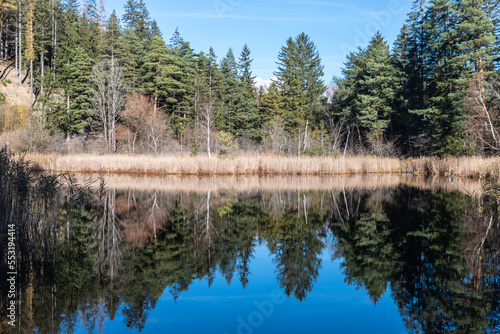 Idyllischer See mit Spiegelung