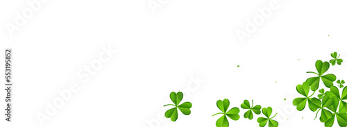 Spring Clover Falling Vector White Panoramic