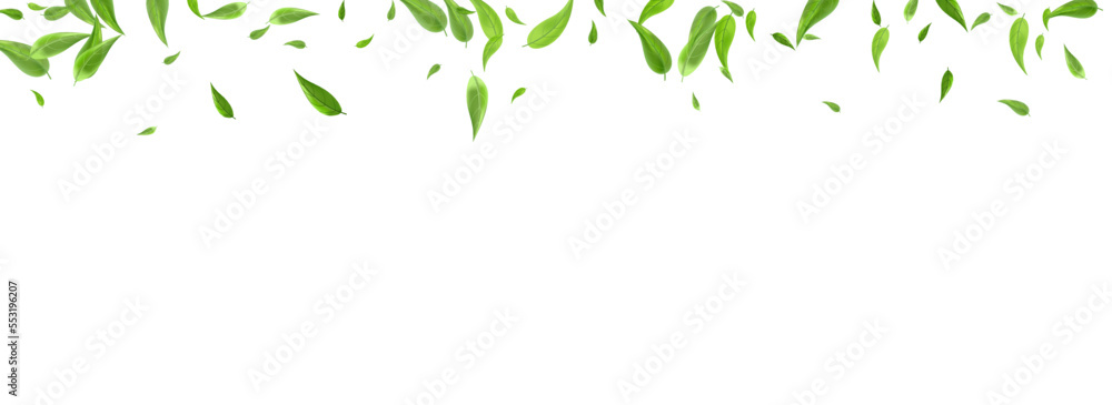 Green Foliage Blur Vector Panoramic White Green Foliage Blur Vector Panoramic White