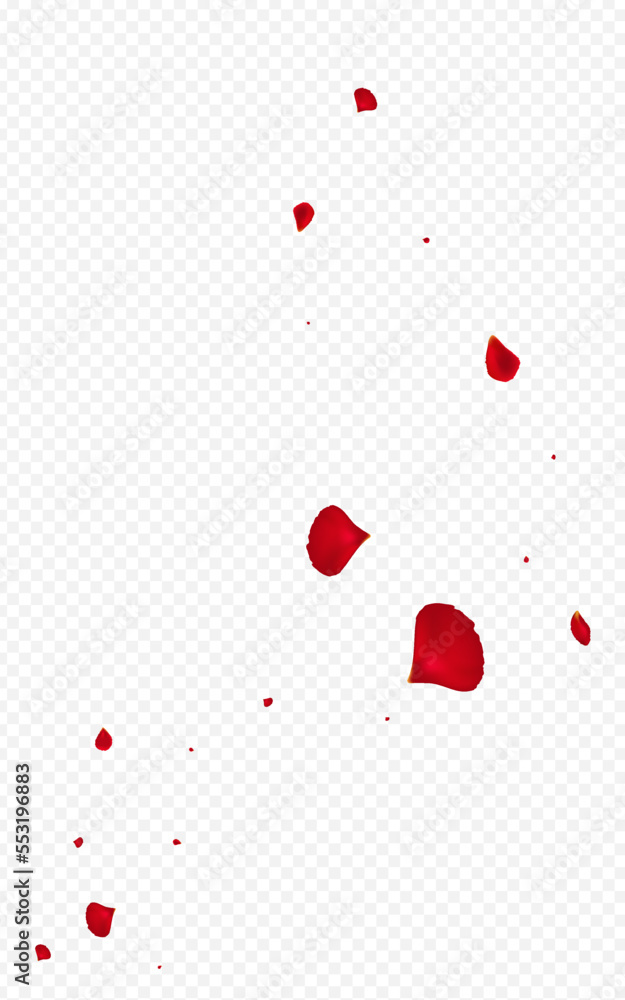 Red Flower Flying Vector Transparent Background.