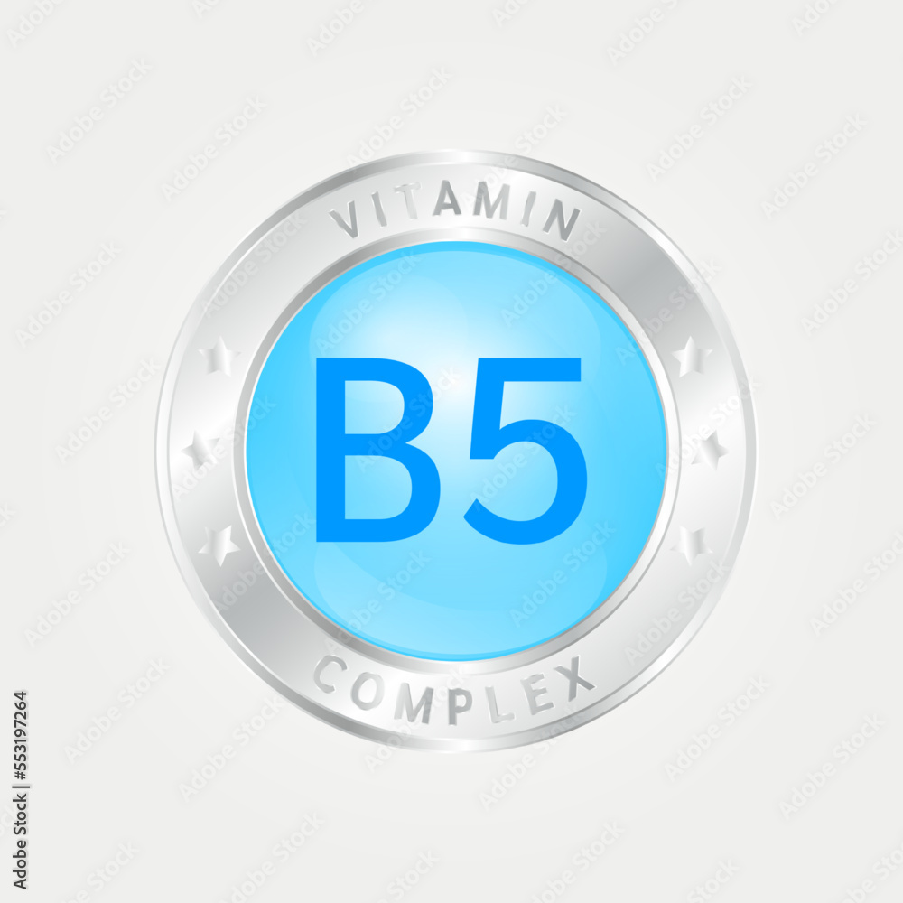 Vitamin B5 Icon structure circle blue. silver border. 3D vector EPS10. Pill complex, collagen serum chemical formula. Beauty treatment nutrition skin care design, healthy. Medical, scientific. Vitamin B5 Icon structure circle blue. silver border. 3D vector EPS10. Pill complex, collagen serum chemical formula. Beauty treatment nutrition skin care design, healthy. Medical, scientific.