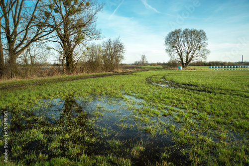 Photos Water after rain on green meadow and trees