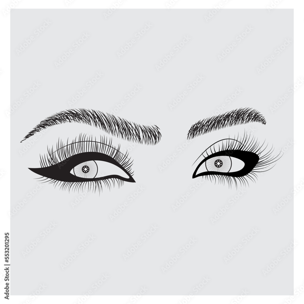 Hand drawn woman's eyes with perfectly shaped brows and full lashes