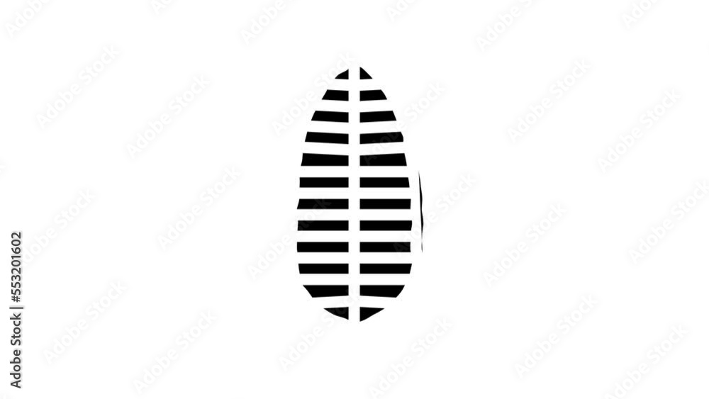 banana tropical leaf line icon animation banana tropical leaf line icon animation