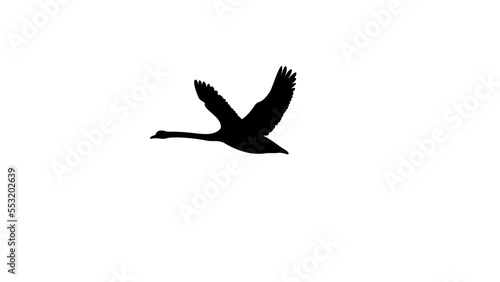 Swan Flying silhouette