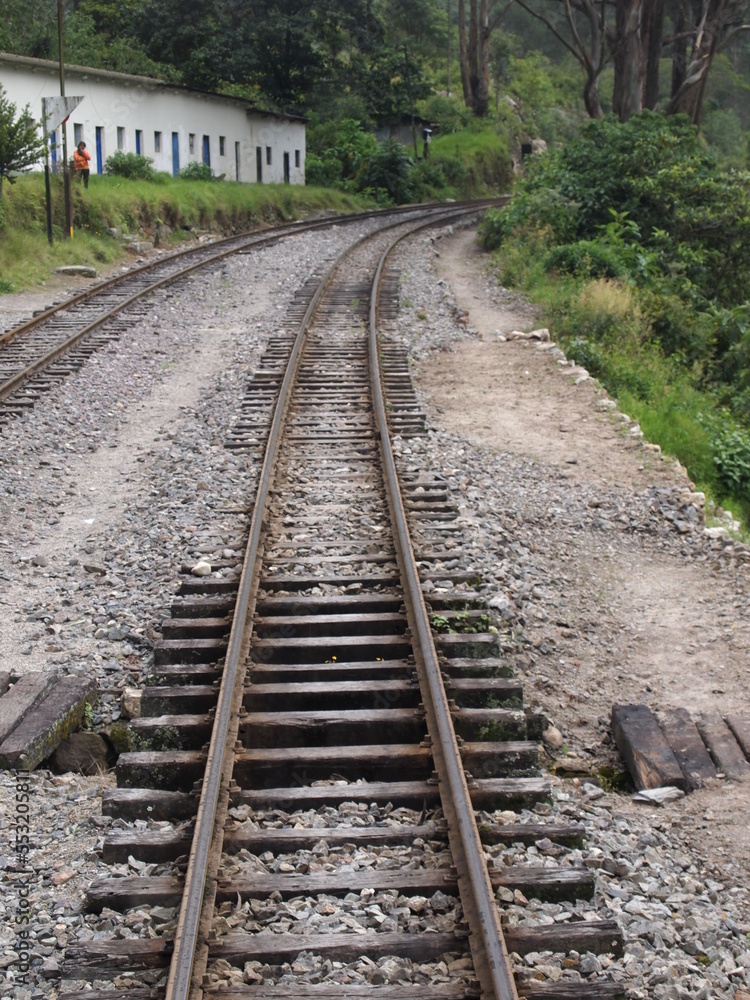 Obraz premium OLYMPUS DIGITAL CAMERA