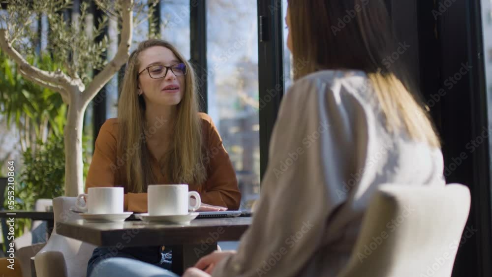 Two young business women in a cafe having one on one meeting. Friends ...