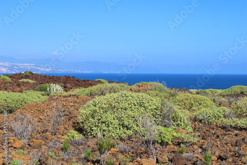 Malpa  s de G    mar  Tenerife