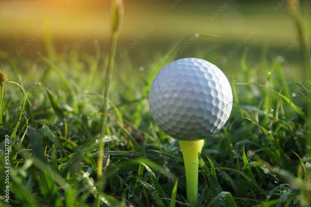 Golf ball on tee ready to play.Golf ball on a green lawn in a beautiful golf course with morning sunshine Golf ball on tee ready to play.Golf ball on a green lawn in a beautiful golf course with morning sunshine