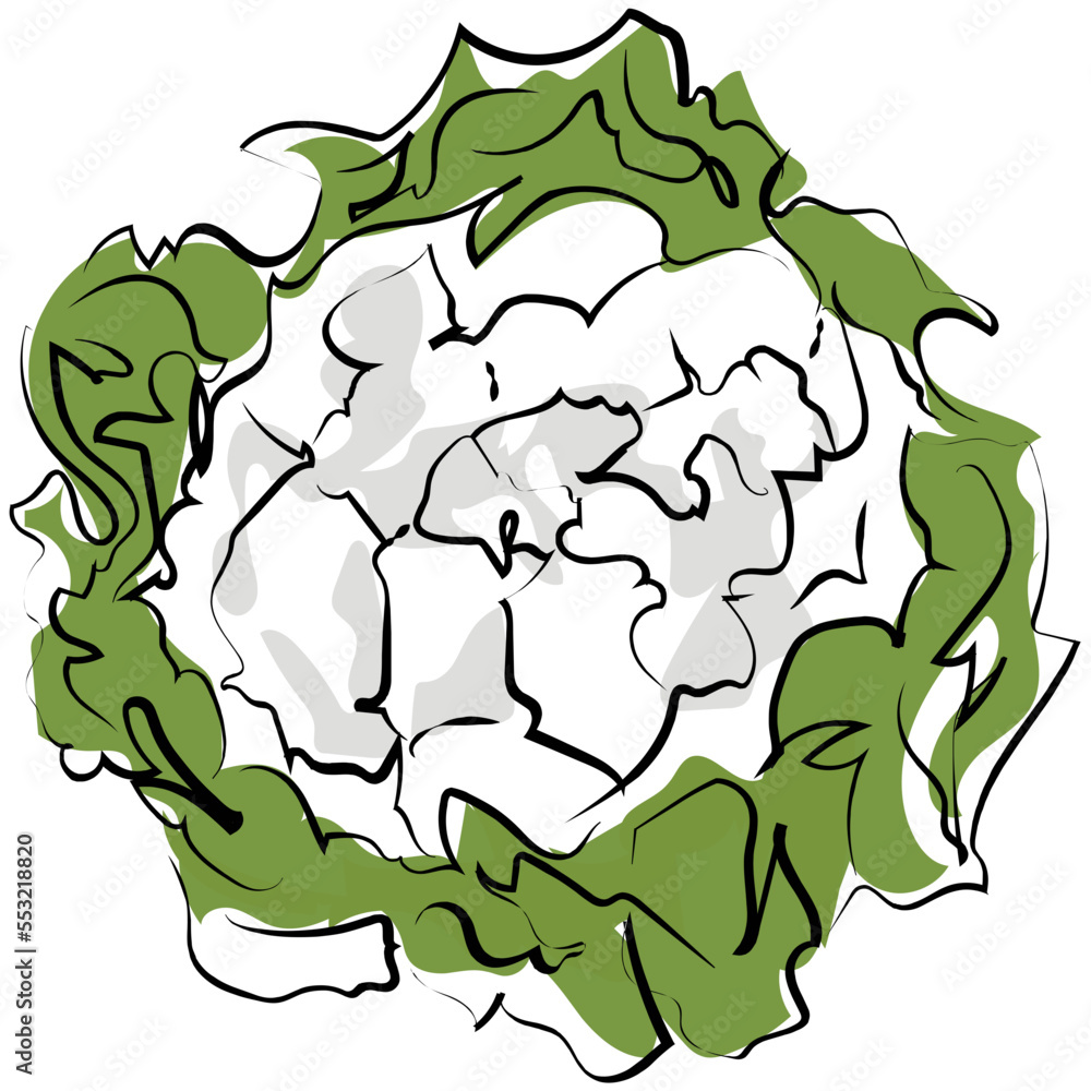 Cauliflower
Cauliflower
