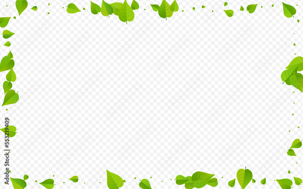 Grassy Foliage Realistic Vector Transparent