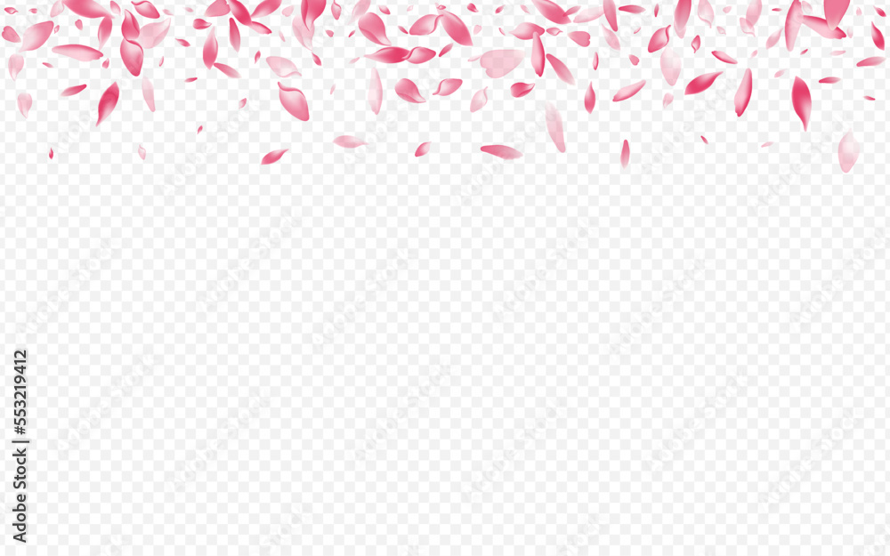 Bright Rosa Vector Transparent Background. Bright Rosa Vector Transparent Background.