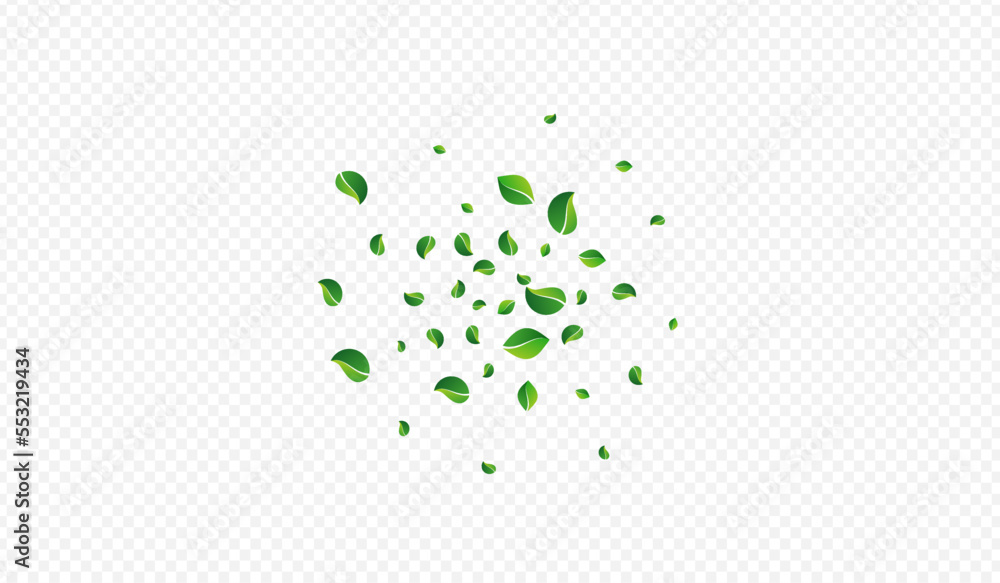 Grassy Leaves Forest Vector Transparent Grassy Leaves Forest Vector Transparent