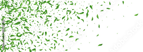 Forest Leaf Blur Vector Panoramic White