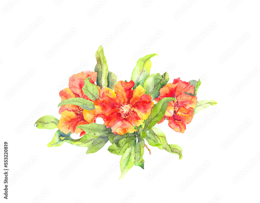Pomegranate beautiful red flower bouquet with leaves. Watercolor spring botanical illustration, floral element for romantic card