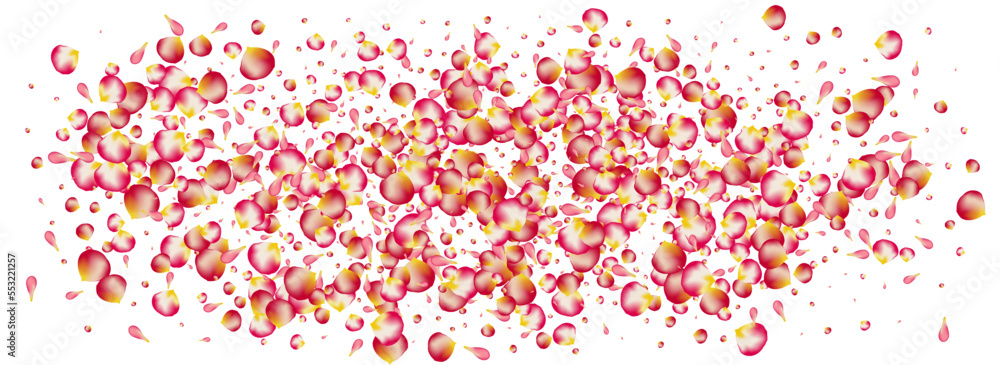 Pink Blossom Tender Vector Panoramic White Pink Blossom Tender Vector Panoramic White