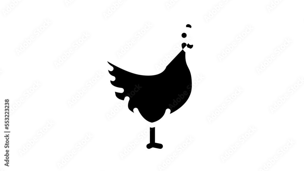 chicken farm bird glyph icon animation chicken farm bird glyph icon animation