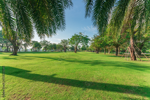 City park with modern building background in Ho Chi Minh city  Vietnam