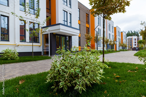 Green recreation area in the courtyard of a multi-storey building