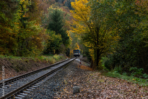 passenger train driving through the autumn forest