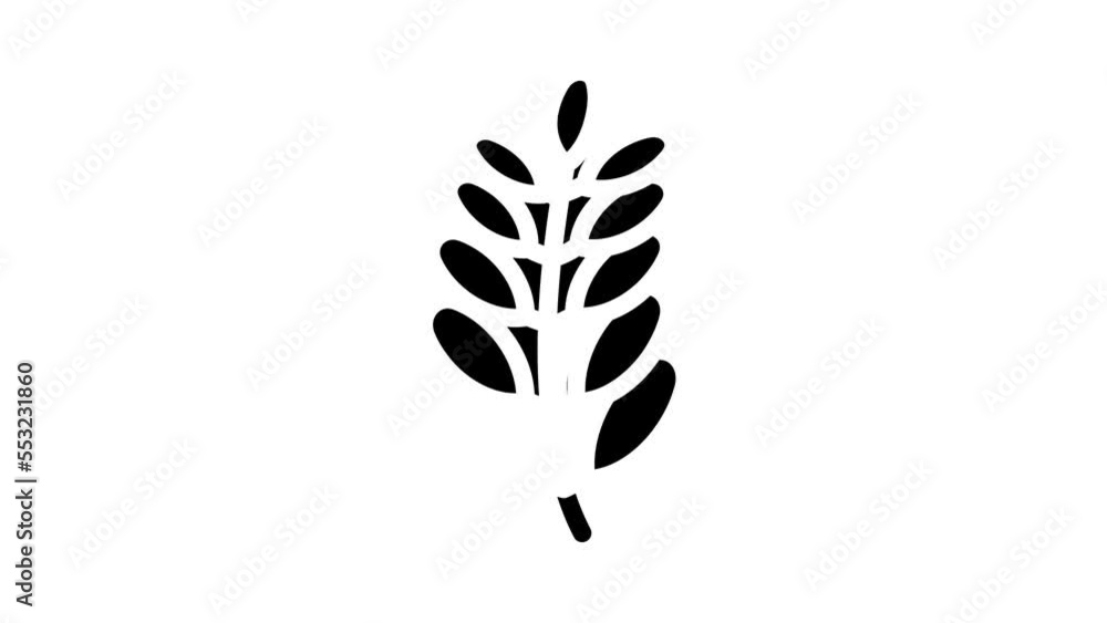 moringa bio vitamin food glyph icon animation moringa bio vitamin food glyph icon animation