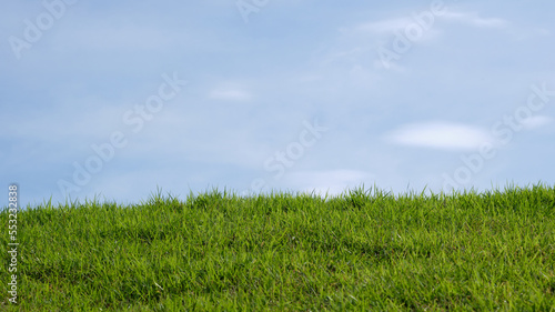 empty green grass foreground with clear blue sky and clouds background