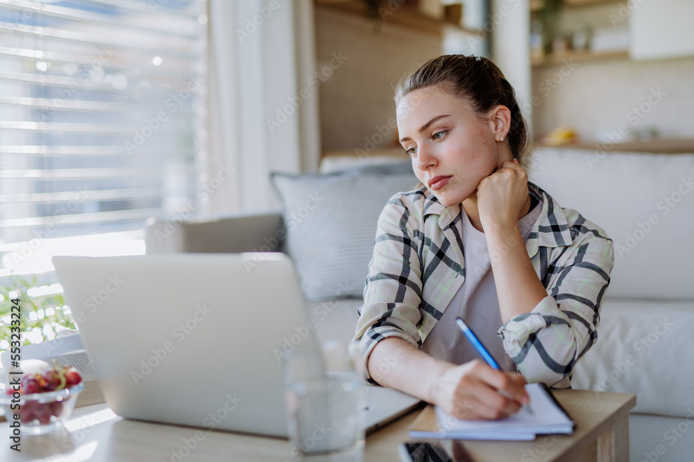Young woman having homeoffice in her apartment. Young woman having homeoffice in her apartment.