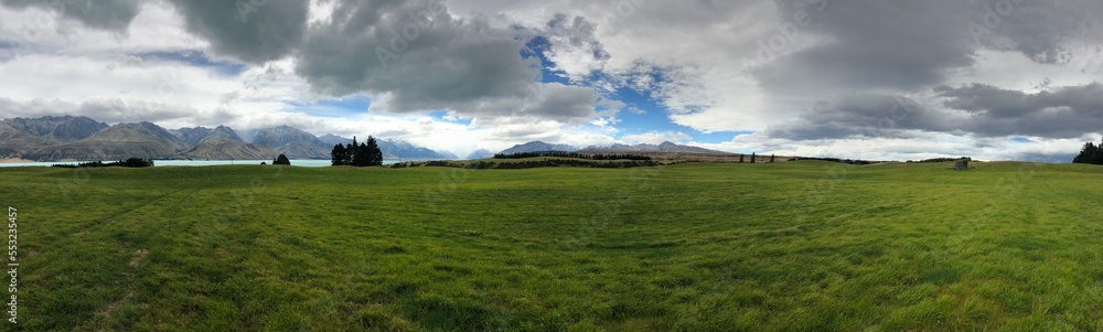 Grassland - New Zealand 