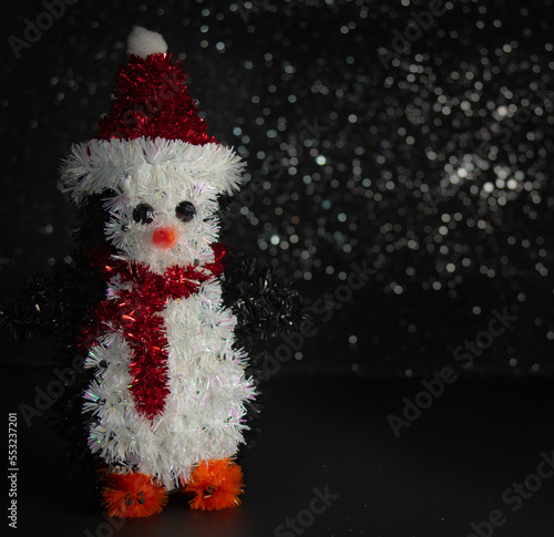 snowman in studio 