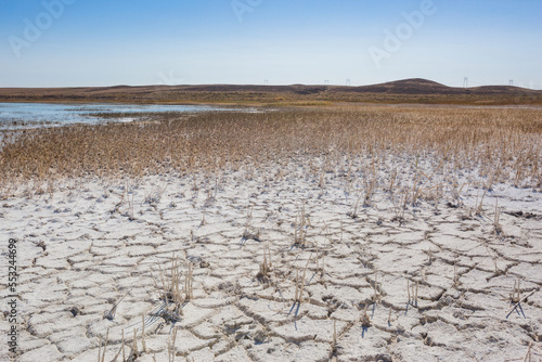Cracked salty shore of Alakol Lake. Kazakhstan