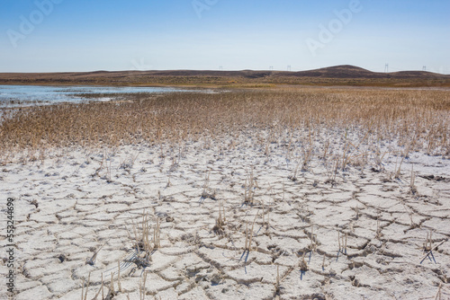 Cracked salty shore of Alakol Lake. Kazakhstan photo