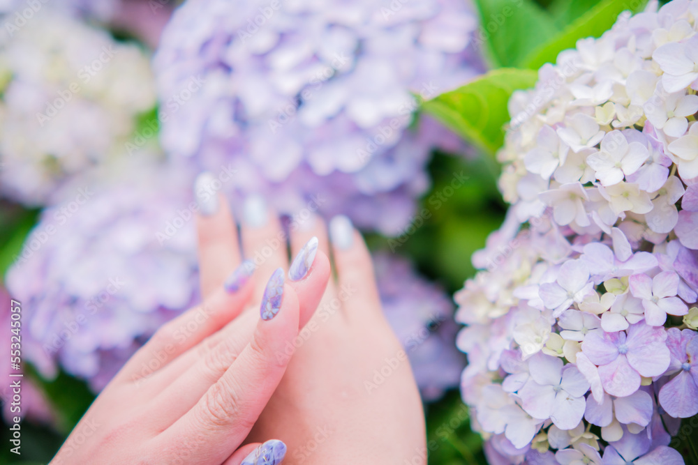 Fototapeta premium 紫陽花ネイル