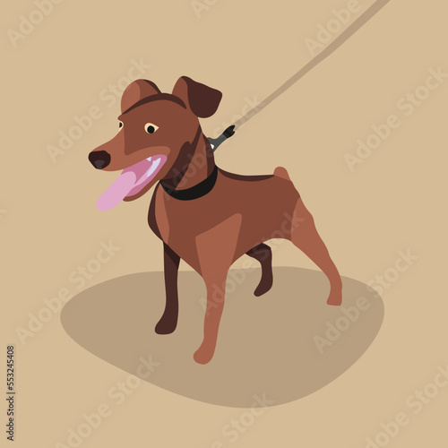 Vector isolated illustration of a miniature pinscher dog.