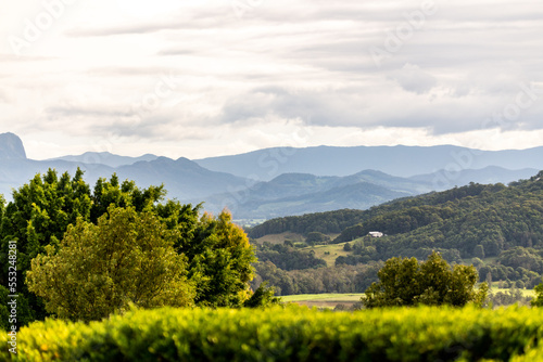Byron Bay hinterland in autumn season with greenery & foliage surrounding the rainforest area. 