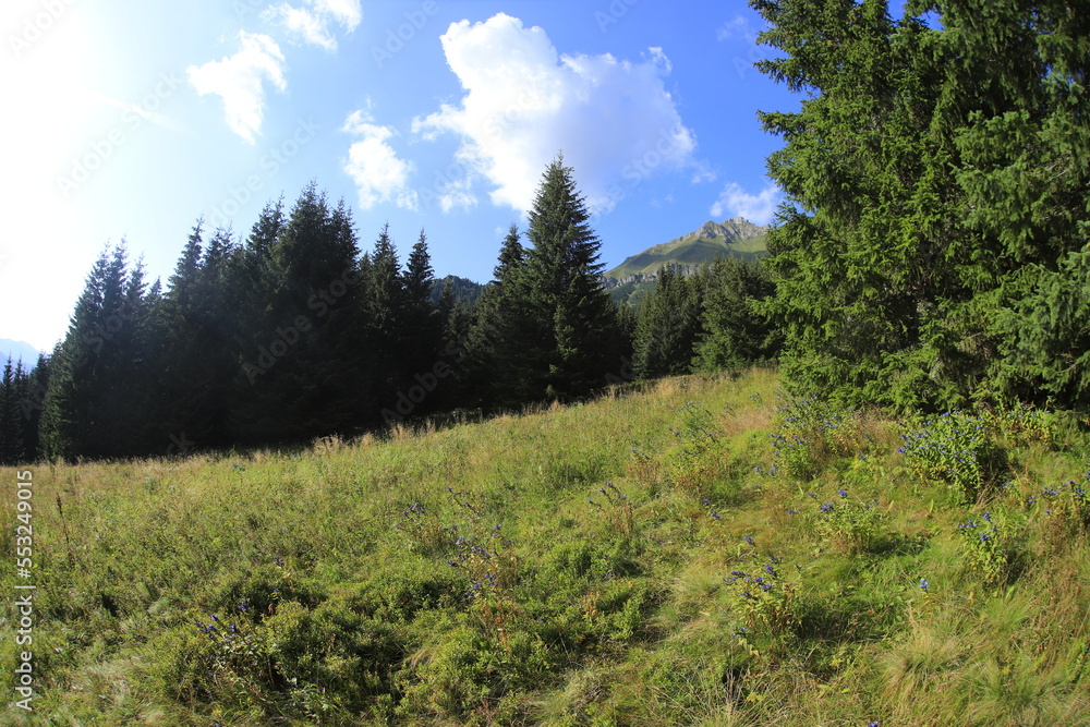 Tatra mountains in the summer, Bielskie tatry