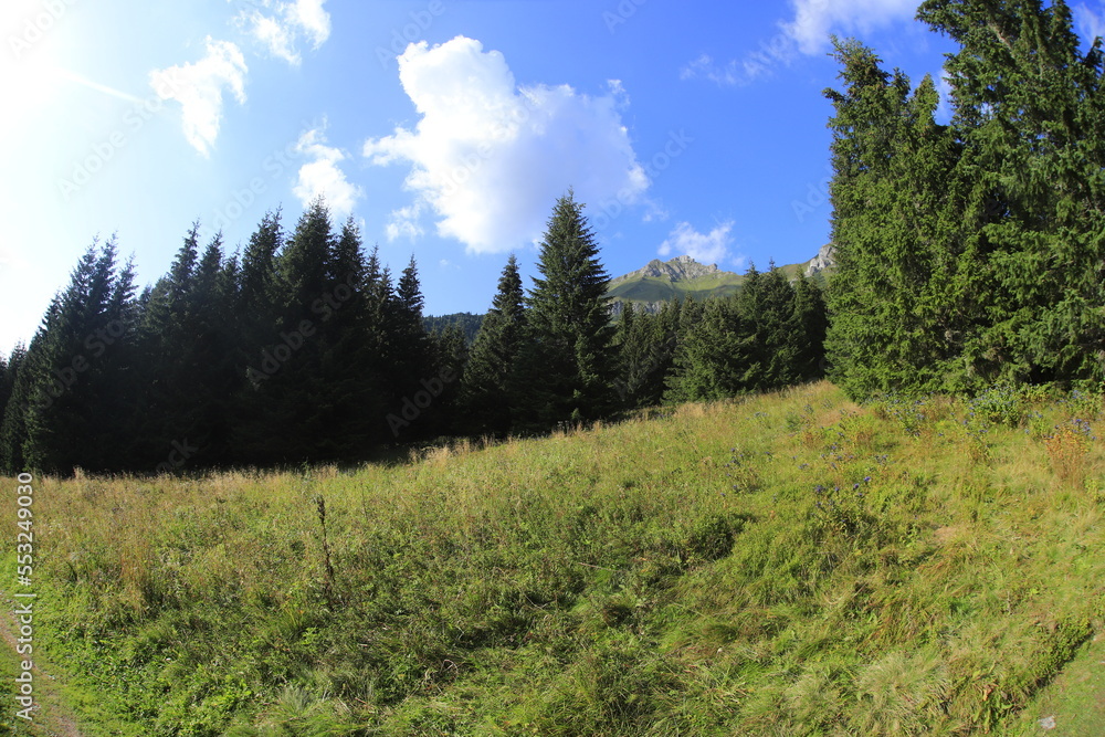 Tatra mountains in the summer, Bielskie tatry Tatra mountains in the summer, Bielskie tatry
