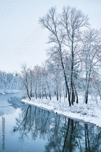 Landscape of a lake in a snowy forest in winter.