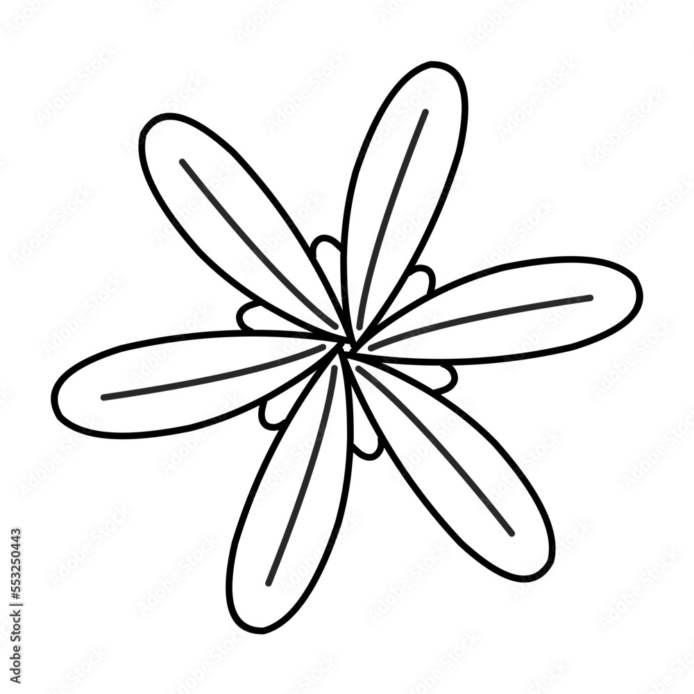 Vector Floral Outline Vector Floral Outline