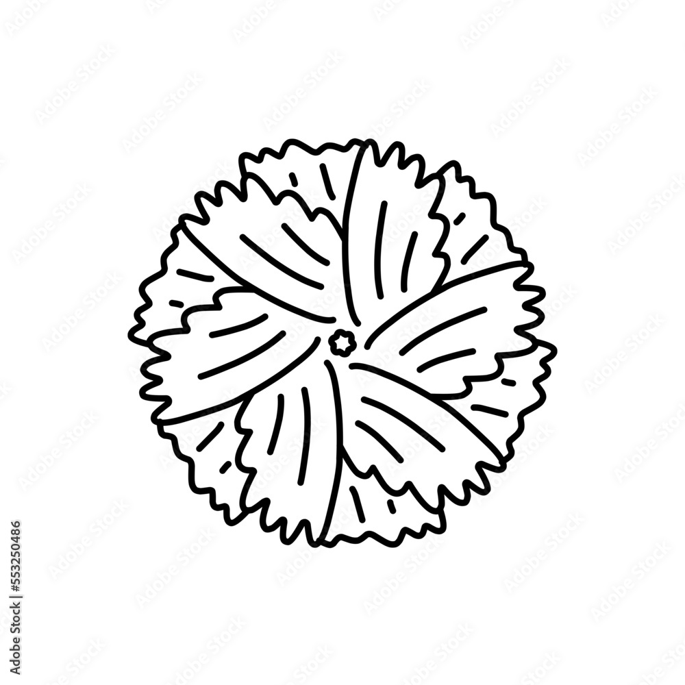 Vector Floral Outline Vector Floral Outline