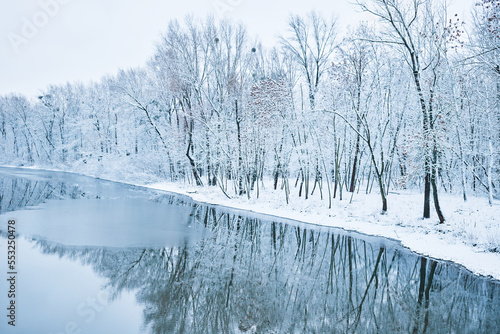 Landscape of a lake in a snowy forest in winter. © Myshkovskyi