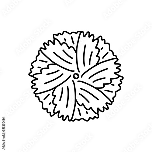 Vector Floral Outline