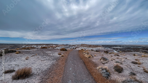 Petrified Forest and Painted Desert National Park in Arizona, USA