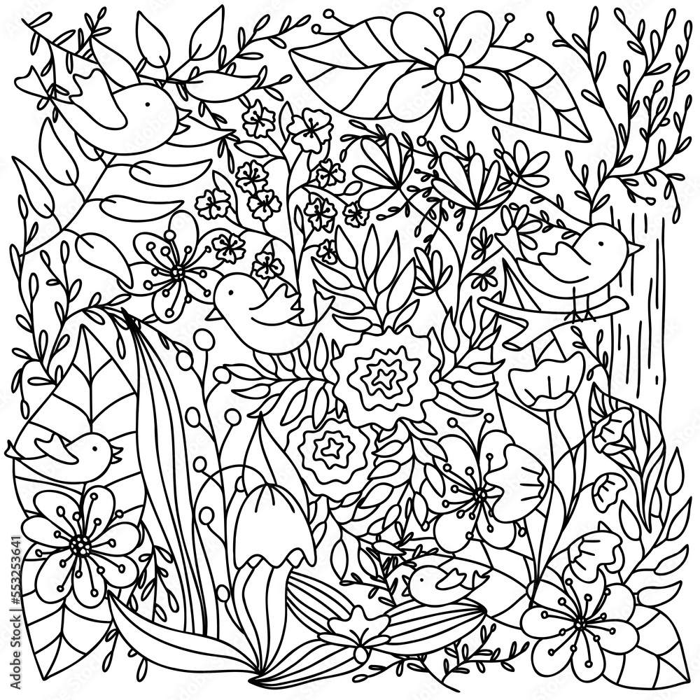 Floral coloring page for adults. Vector black line birds and flowers ...