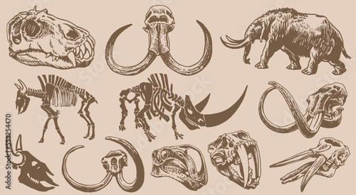 Graphical vintage set of mammoth skeletons and skulls on sepia background,vector illustration,paleontology