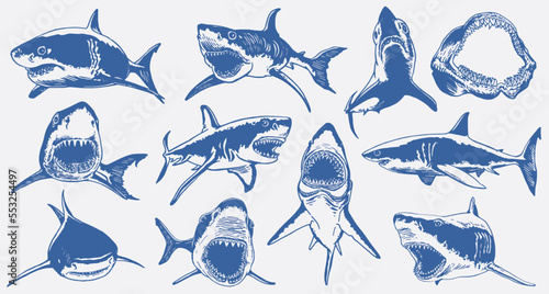 Graphical set of blue sharks  isolated on white background,vector color sharks for tattoo and printing
