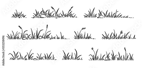 Grass doodle sketch style set. Hand drawn grass field outline scribble background. Sprout, flower, clover elements. Vector illustration.