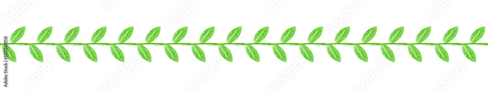 Zielona roślinna linia z liści - obrazy, fototapety, plakaty 