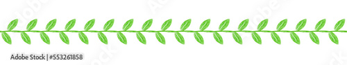 Zielona roślinna linia z liści