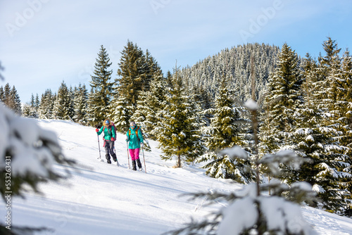 Travelers travel together through beautiful nature in winter. two girls walk through the woods in winter.
